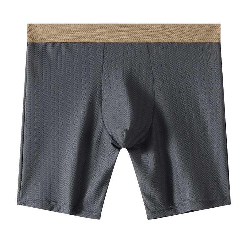Mens Boxer Shorts Homme Nylon  - Long Leg Trunk Men のレビューと価格