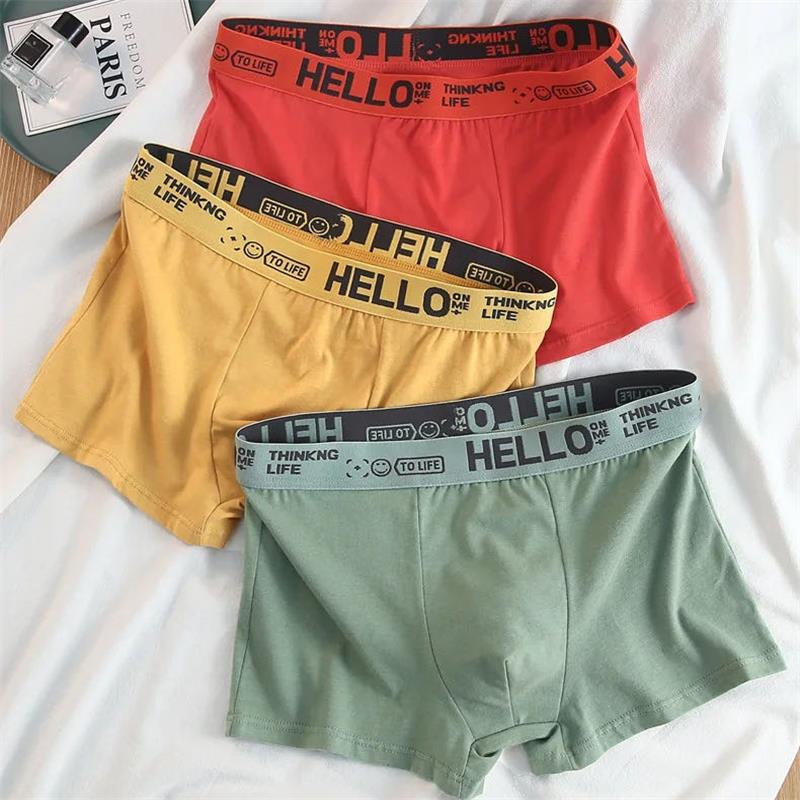 10Pieces/ Men's Underwear Men  - Boxer Shorts Modal のレビューと価格