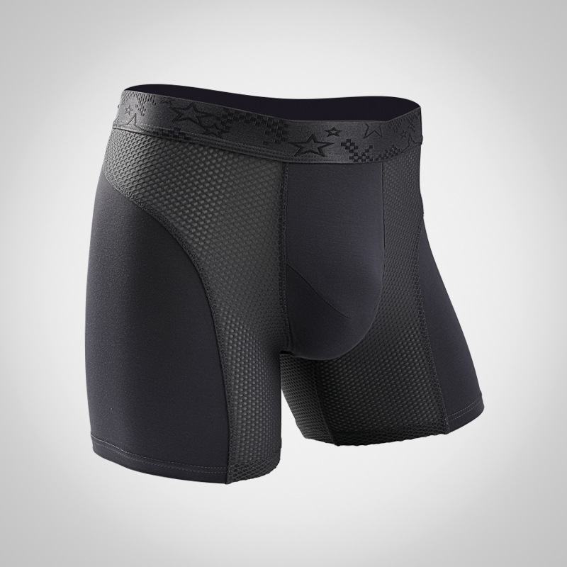 L-6XL Large Size Mens Mesh Mod - Mesh Sport Boxer のレビューと価格