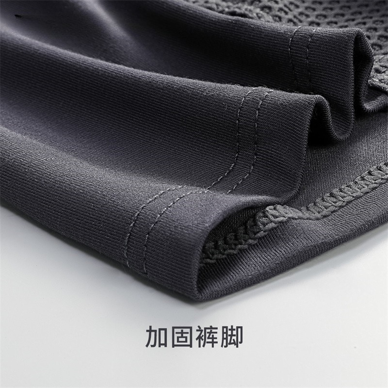 L-6XL Large Size Mens Mesh Mod - Mesh Sport Boxer のレビューと価格
