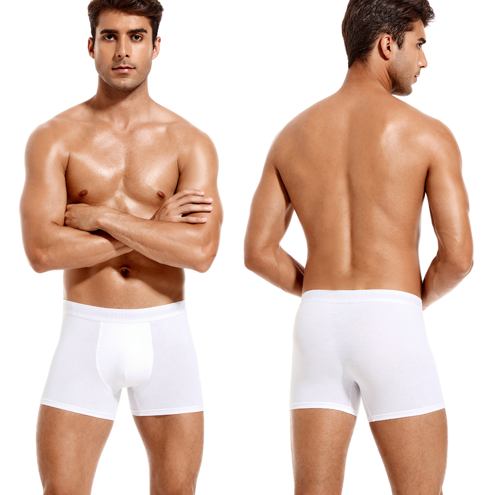 6pcs White Men Panties Cotton  - Multi Pack Underwear のレビューと価格