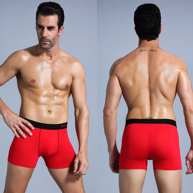 6pcs White Men Panties Cotton  - Multi Pack Underwear のレビューと価格