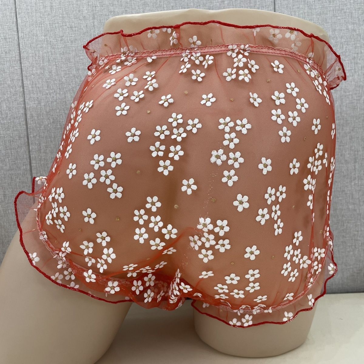 Mesh Men's Briefs Front Widene - Pouch Boxer Pouch のレビューと価格