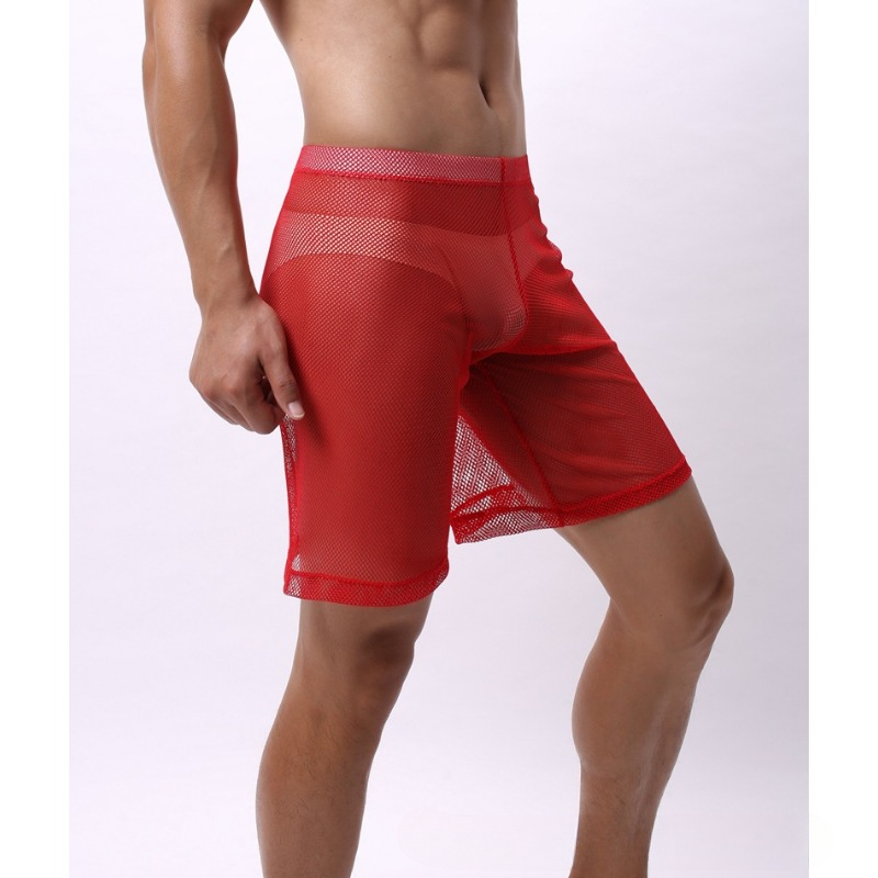 Low Rise Mesh Erotic Underwear - Pouch Boxer Pouch のレビューと価格