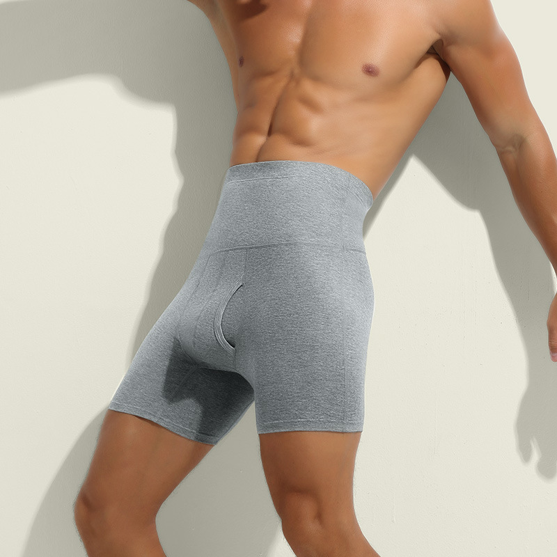 Men Underwear Cotton Boxers Sh - Boxer Brief Pack Cotton のレビューと価格
