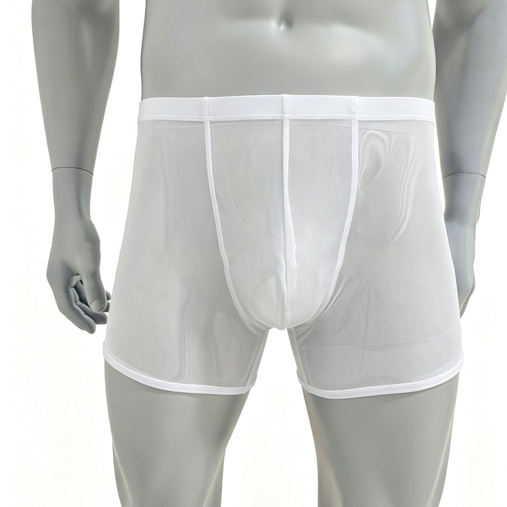 Men Mesh See-through Ultra-thi - Long Leg Trunk Men のレビューと価格