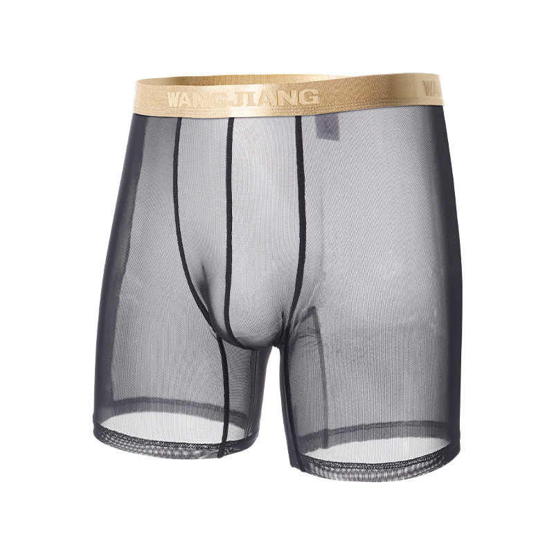 Wangjiang Men's Mesh Boxer Sho - Mesh Sport Boxer のレビューと価格