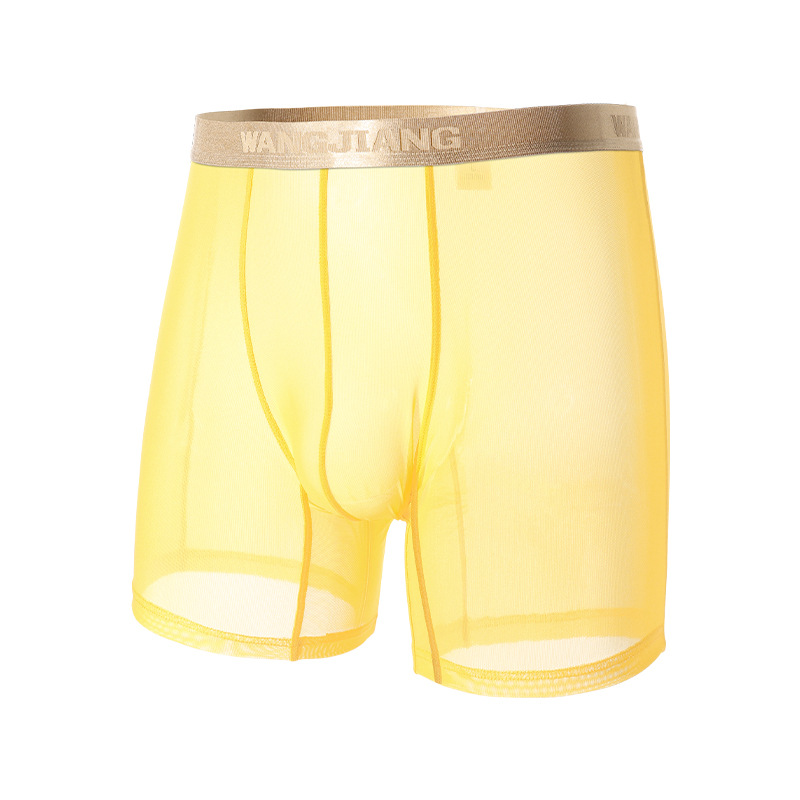 Wangjiang Men's Mesh Boxer Sho - Mesh Sport Boxer のレビューと価格